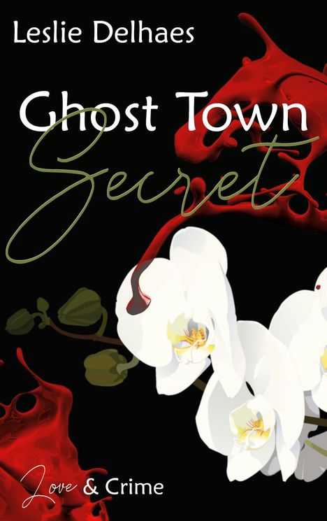 Leslie Delhaes: Ghost Town Secret, Buch
