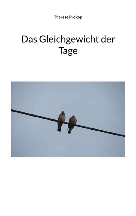 Therese Prokop: Das Gleichgewicht der Tage, Buch