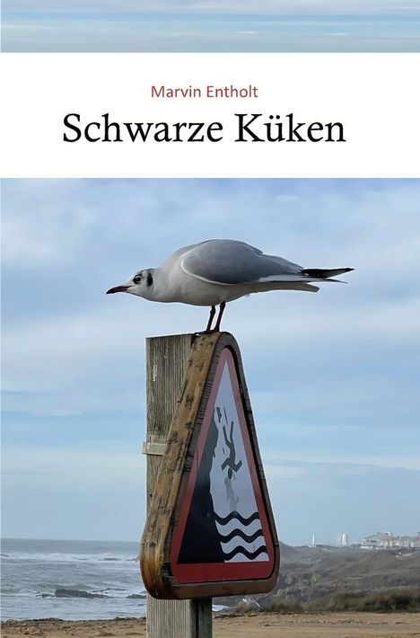 Marvin Entholt: Schwarze Küken, Buch