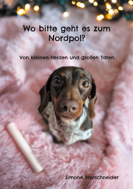 Simone Bretschneider: Wo bitte geht es zum Nordpol?, Buch