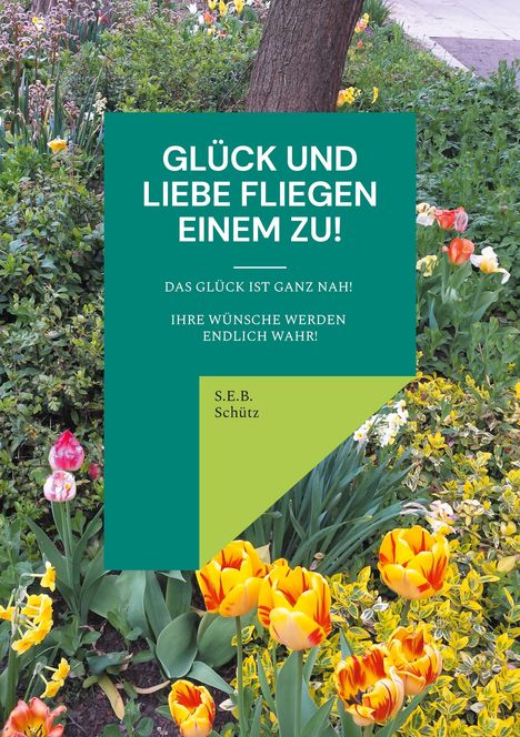 S. E. B. Schütz: Glück und Liebe fliegen einem zu!, Buch