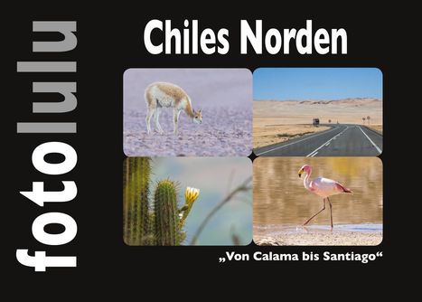 Sr. Fotolulu: Chiles Norden, Buch