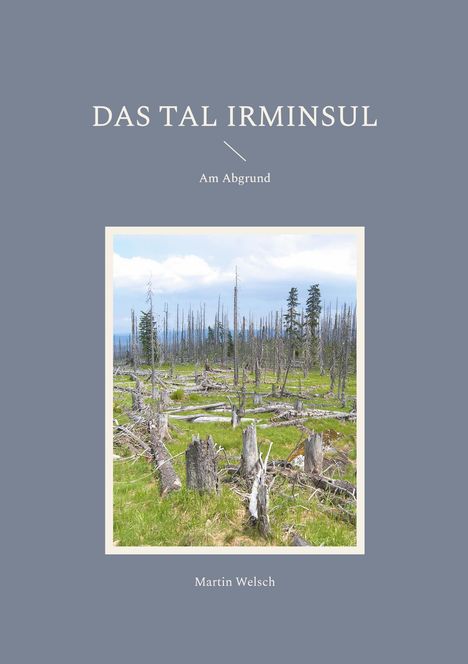 Martin Welsch: Das Tal Irminsul, Buch