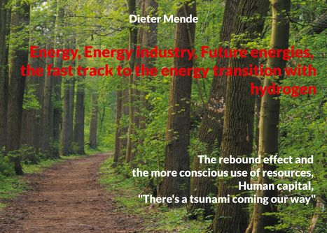 Dieter Mende: Energy Energy industry Future energies, the fast track to the energy transition with hydrogen, Buch