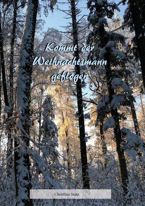 Christine Stutz: Kommt der Weihnachtsmann geflogen, Buch