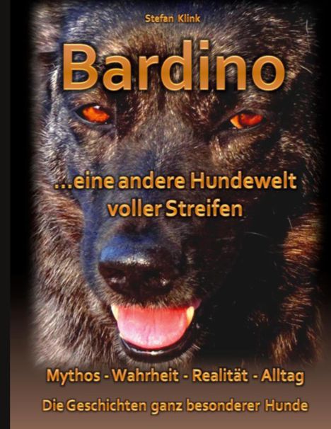 Stefan Klink: Bardino, Buch