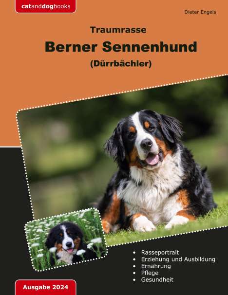 Dieter Engels: Traumrasse Berner Sennenhund, Buch