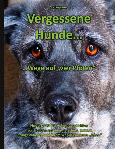 Stefan Klink: Vergessene Hunde, Buch