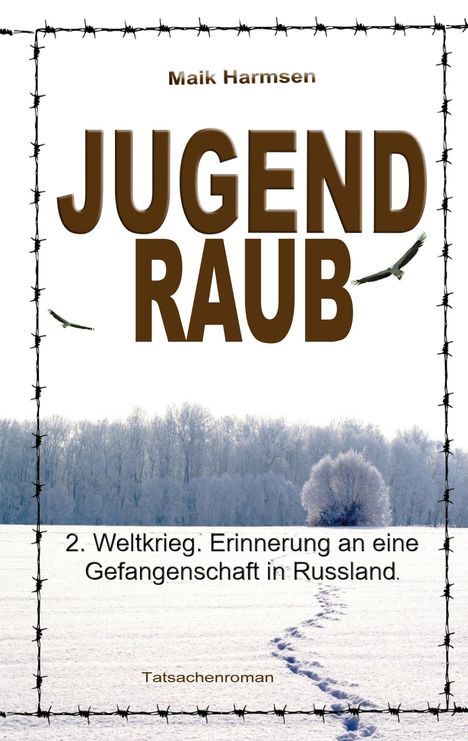 Maik Harmsen: Jugendraub, Buch