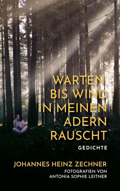 Heinz Johannes Zechner: Warten, bis der Wind in meinen Adern rauscht, Buch