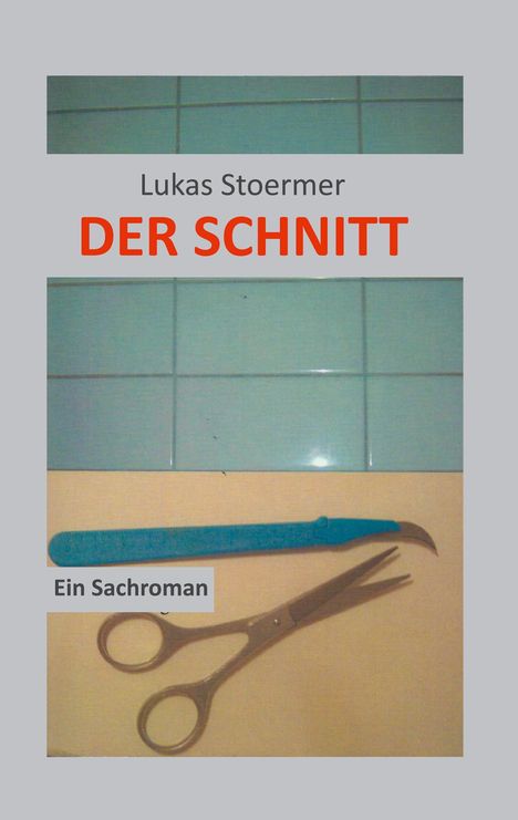 Lukas Stoermer: Der Schnitt, Buch