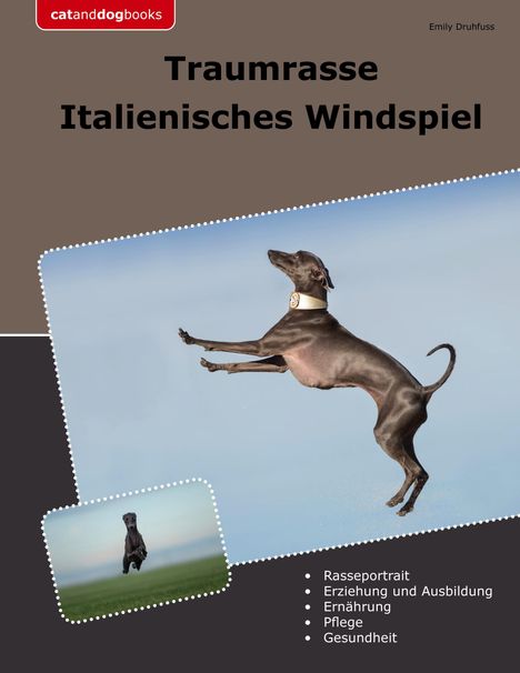 Emily Druhfuss: Traumrasse Italienisches Windspiel, Buch