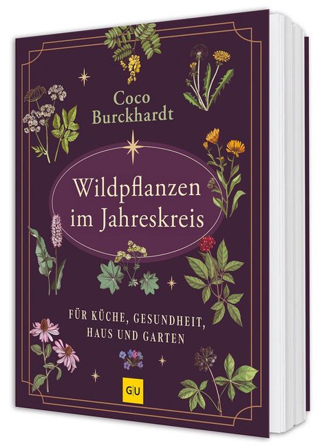 Buchtitel: "Wildpflanzen im Jahreskreis". Autor: Coco Burckhardt. Illustrationen von Pflanzen auf dunklem Hintergrund.