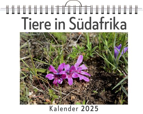 Nora Schröder: Tiere in Südafrika, Kalender