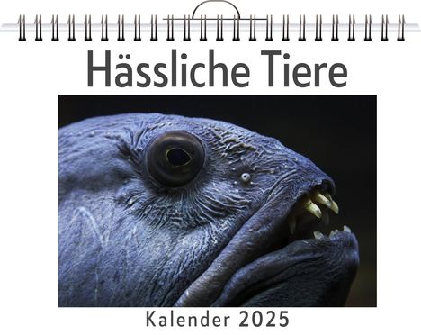 Matteo Möller: Hässliche Tiere, Kalender