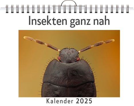 Henry Müller: Insekten ganz nah, Kalender