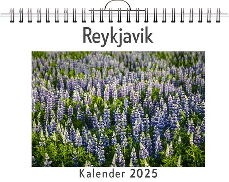 Sarah Kaiser: Reykjavik, Kalender