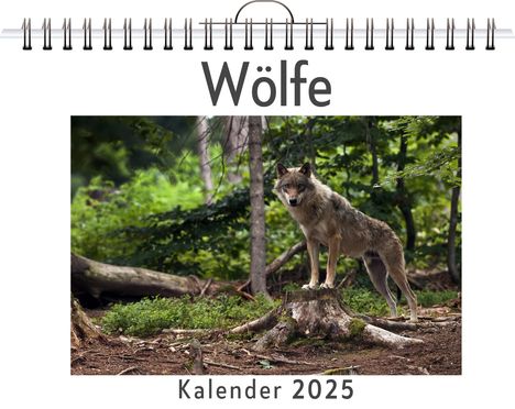 Ava Kaiser: Wölfe, Kalender