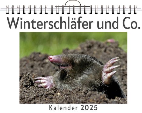 Amelia Braun: Winterschläfer und Co., Kalender