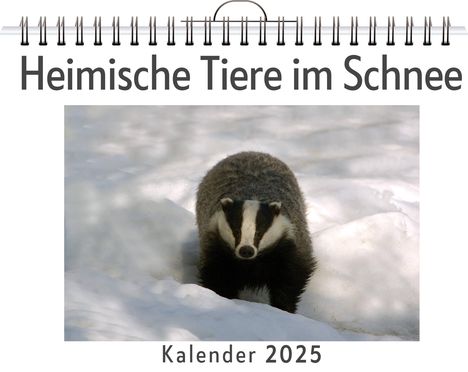 Noah König: Heimische Tiere im Schnee, Kalender