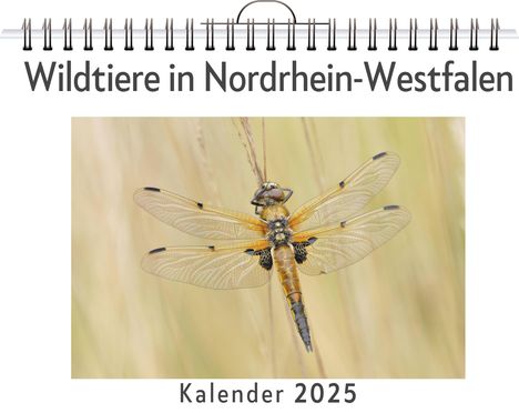 Emma Huber: Wildtiere in Nordrhein-Westfalen, Kalender