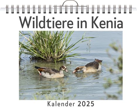 Jonah Horn: Wildtiere in Kenia, Kalender