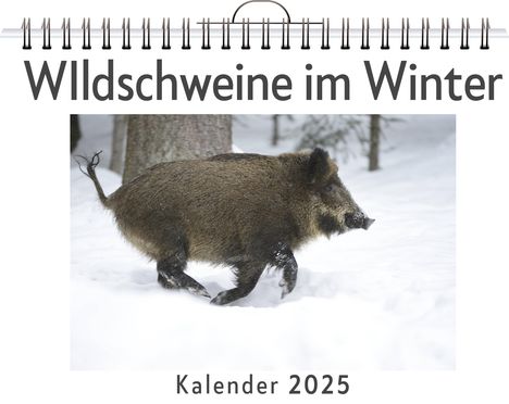 Luisa Weber: WIldschweine im Winter, Kalender