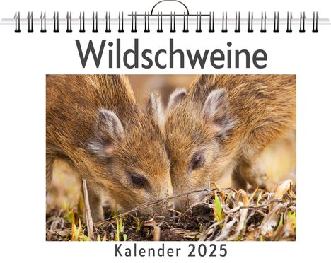 Paul Lehmann: Wildschweine, Kalender