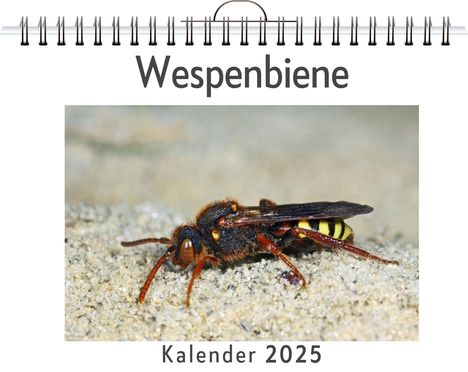 Sofia Zimmermann: Wespenbiene, Kalender