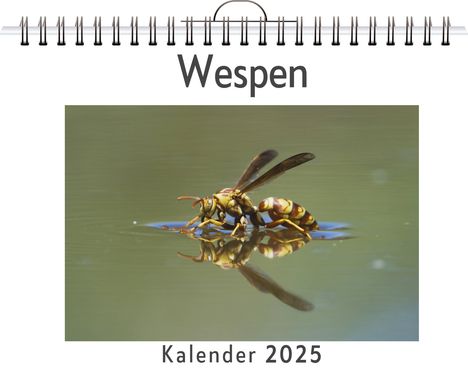 Tim Klein: Wespen, Kalender