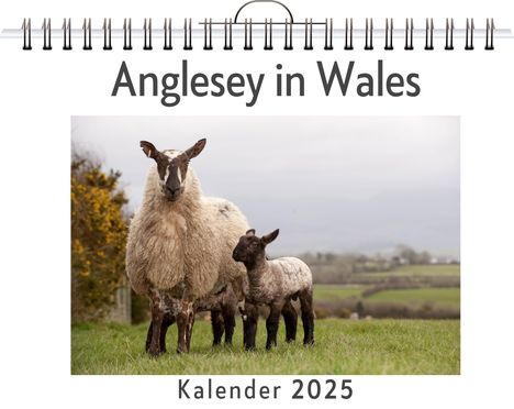 Eva Schwarz: Anglesey in Wales, Kalender