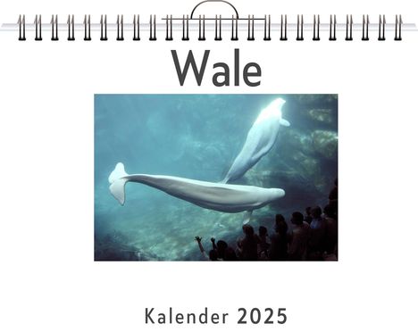 Julian Krüger: Wale, Kalender