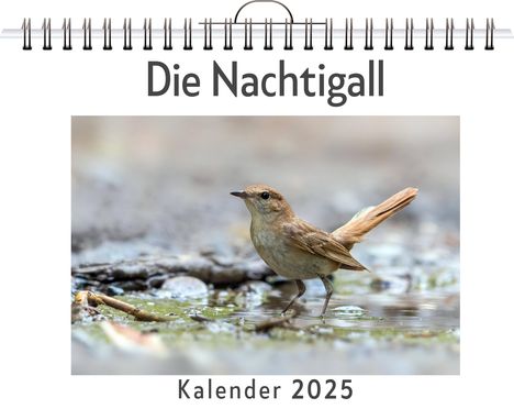 Anna Schmid: Die Nachtigall, Kalender