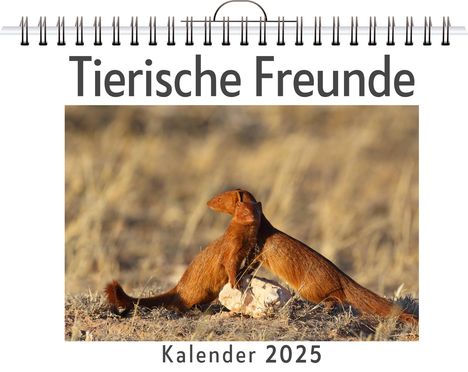 Tim Lang: Tierische Freunde, Kalender