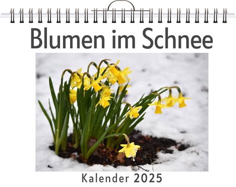 David Friedrich: Blumen im Schnee, Kalender