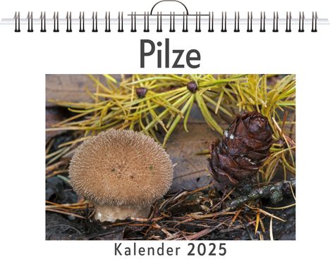 David Keller: Pilze, Kalender