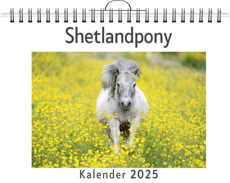 Anna Hoffmann: Shetlandpony, Kalender