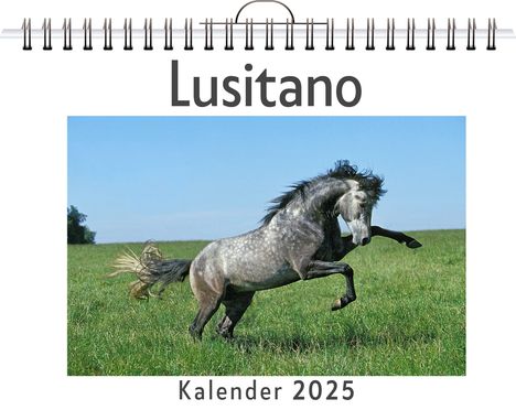 Paul Richter: Lusitano, Kalender