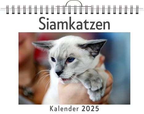 Lucas König: Siamkatzen, Kalender