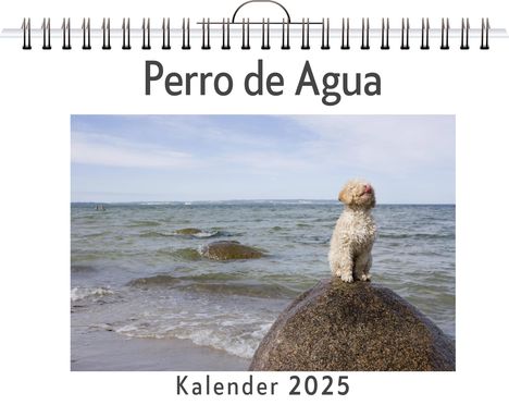 Amelia Richter: Perro de Agua, Kalender