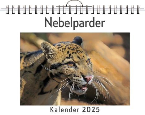 Emily Schneider: Nebelparder, Kalender