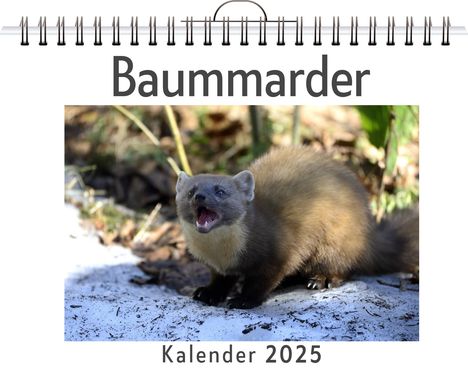 Oliver Keller: Baummarder, Kalender