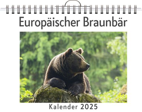 Eva Klein: Europäischer Braunbär, Kalender