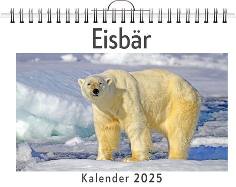 Anna Meier: Eisbär, Kalender