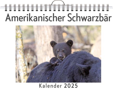 Anna Koch: Amerikanischer Schwarzbär, Kalender