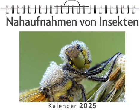 Paul Wolf: Nahaufnahmen von Insekten, Kalender