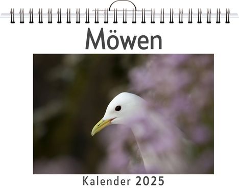 Leah Lehmann: Möwen, Kalender