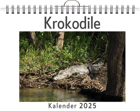 Noah Fischer: Krokodile, Kalender