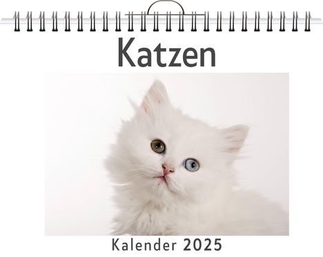 Luisa Werner: Katzen - (Wandkalender 2025, Kalender DIN A4 quer, Monatskalender im Querformat mit Kalendarium, das perfekte Geschenk), Kalender