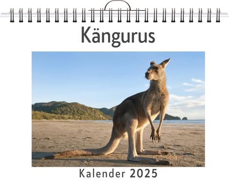 Louis Schmidt: Kängurus - (Wandkalender 2025, Kalender DIN A4 quer, Monatskalender im Querformat mit Kalendarium, das perfekte Geschenk), Kalender